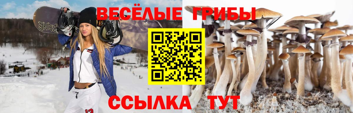Псилоцибиновые грибы MAGIC MUSHROOMS Лениногорск