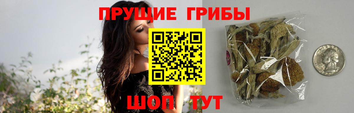 Галлюциногенные грибы мицелий  Вход с VPN  Лениногорск 