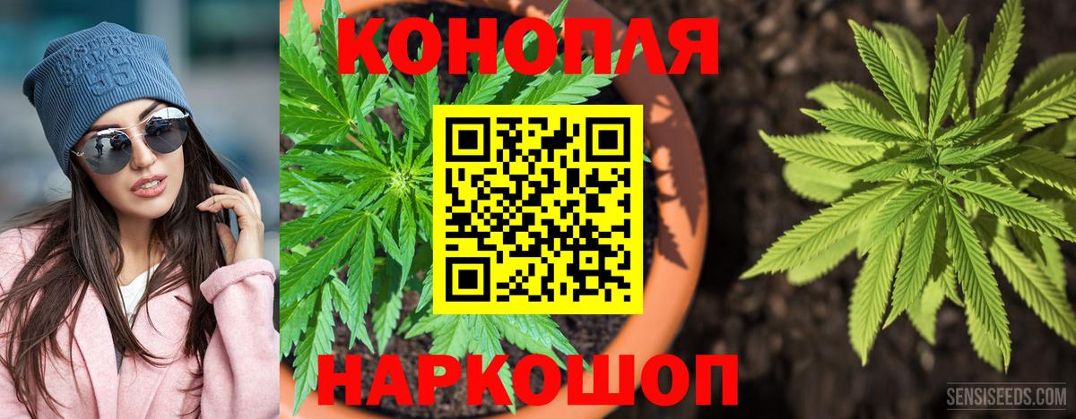 Конопля семена  Вход с VPN  Лениногорск  Марихуана White Widow 